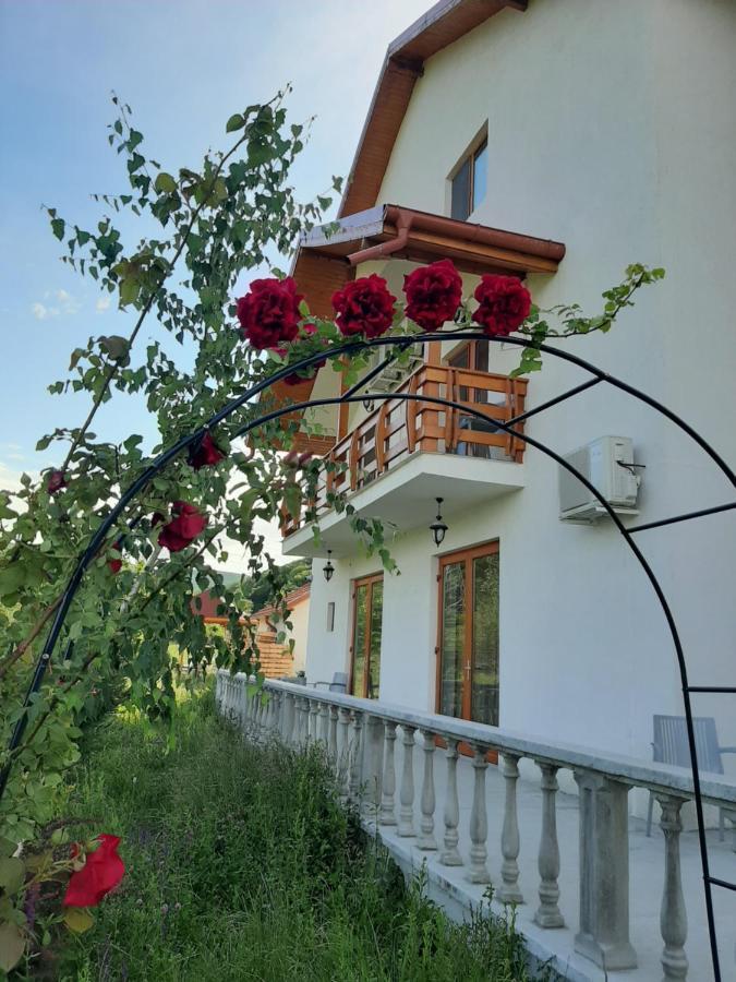 Pensiunea Agroturistica Green Odoba Sătuc Exterior photo