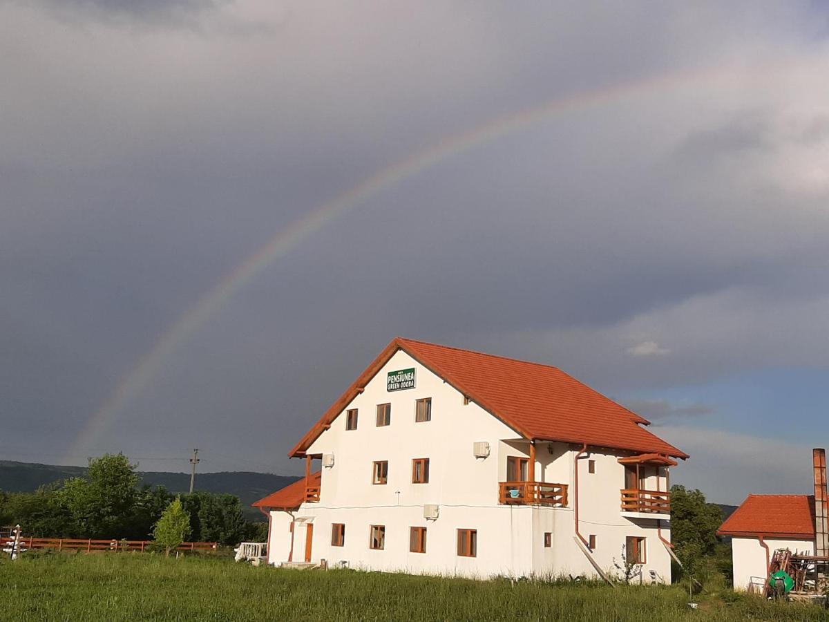 Pensiunea Agroturistica Green Odoba Sătuc Exterior photo