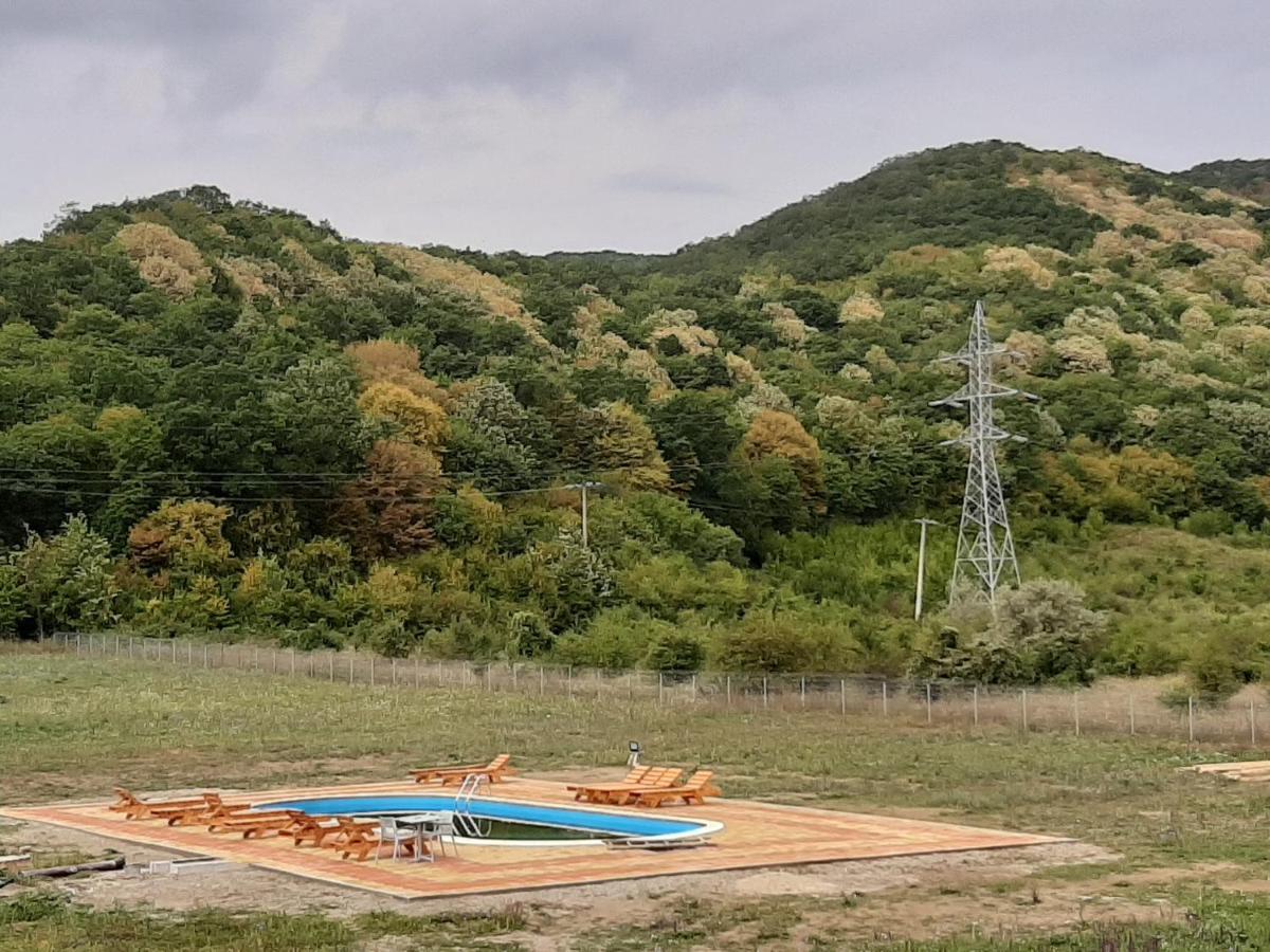 Pensiunea Agroturistica Green Odoba Sătuc Exterior photo
