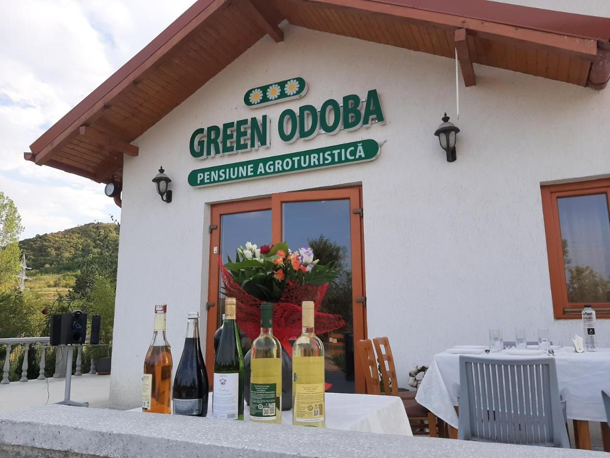 Pensiunea Agroturistica Green Odoba Sătuc Exterior photo