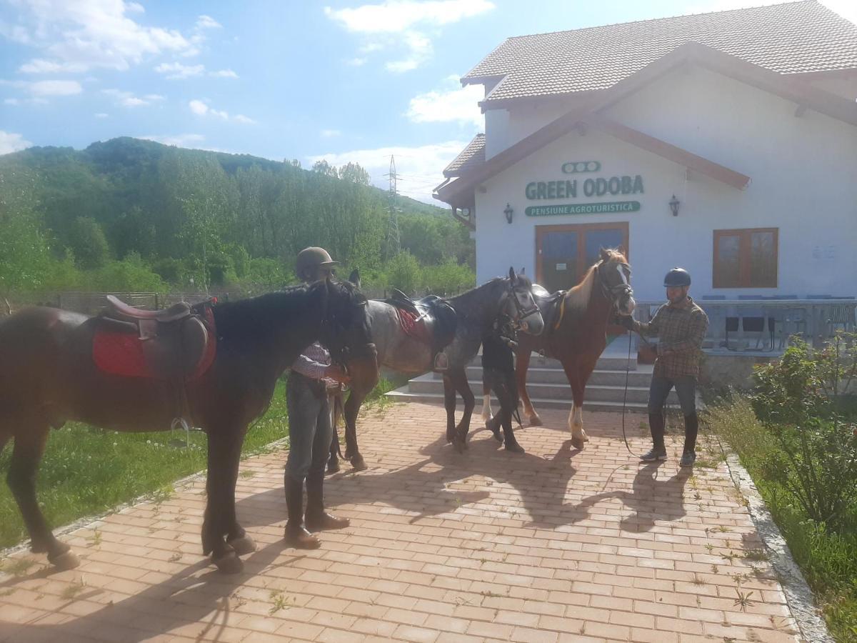 Pensiunea Agroturistica Green Odoba Sătuc Exterior photo