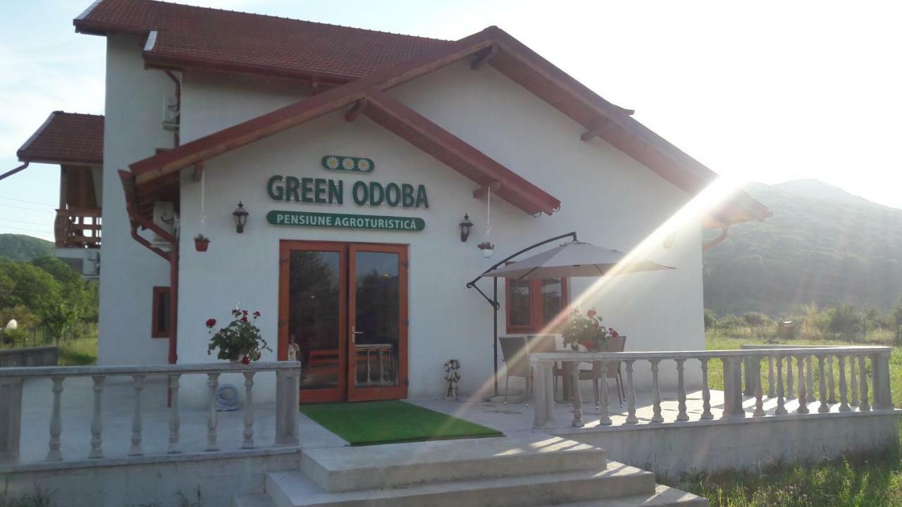 Pensiunea Agroturistica Green Odoba Sătuc Exterior photo