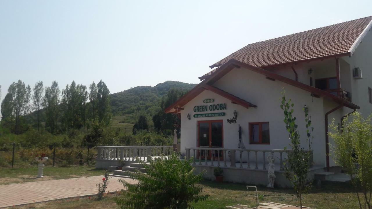 Pensiunea Agroturistica Green Odoba Sătuc Exterior photo